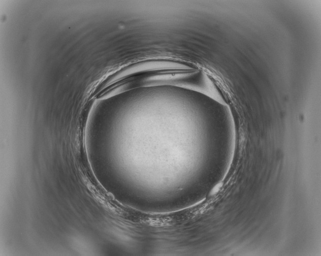 X0000087420345200704201431