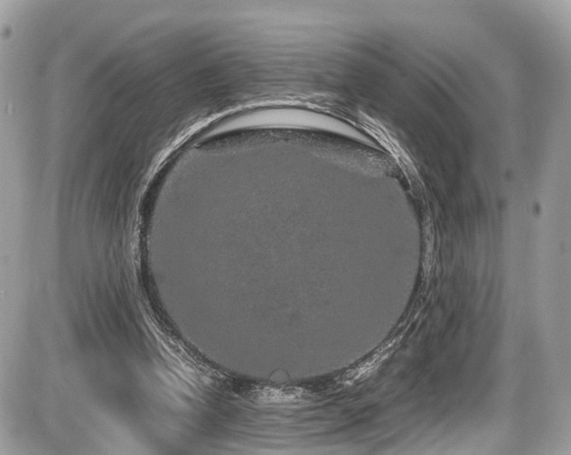 X0000087420346200704201431