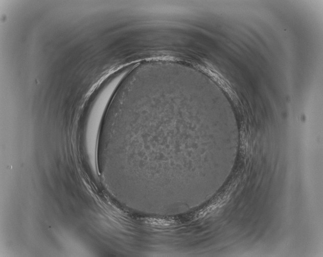 X0000087420347200704201431