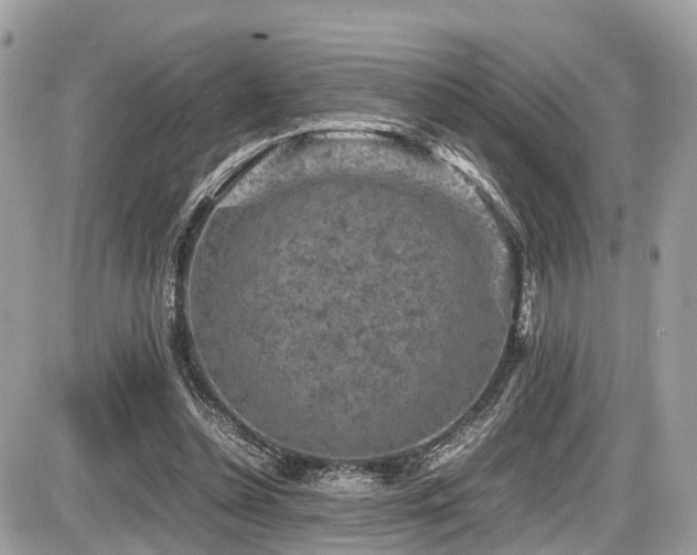 X0000087420348200704201431