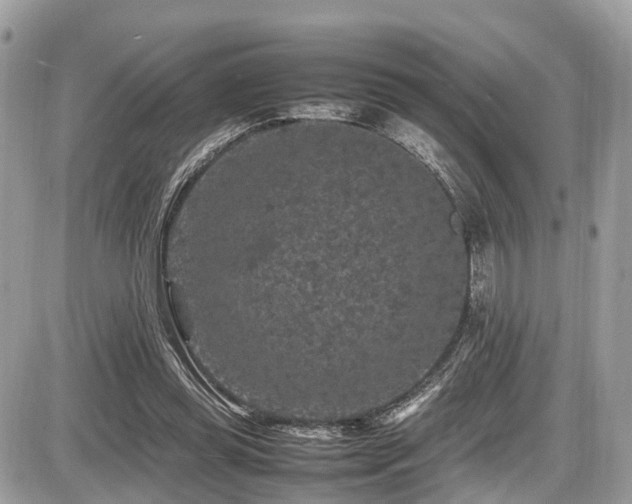 X0000087420349200704201431