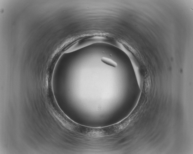 X0000087420350200704201431