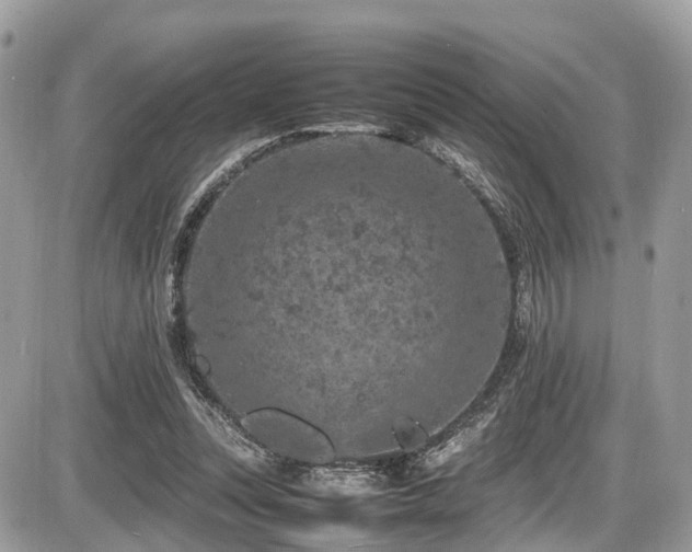 X0000087420351200704201431