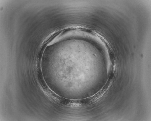 X0000087420352200704201431