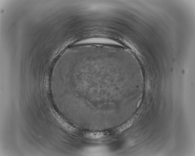 X0000087420353200704201431