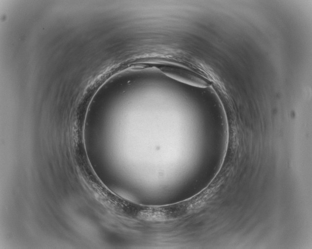 X0000087420354200704201431