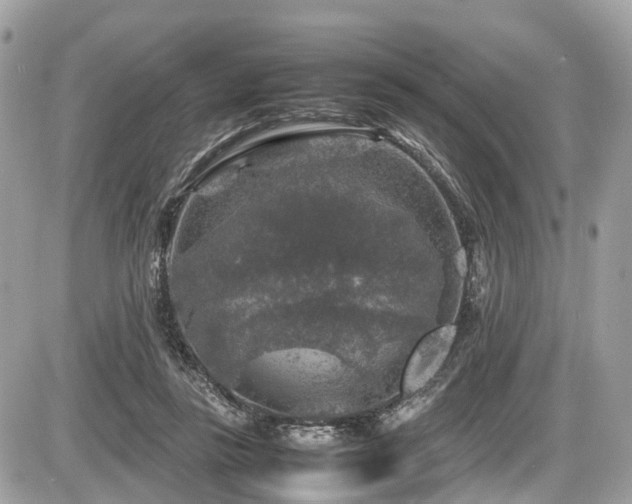 X0000087420355200704201431