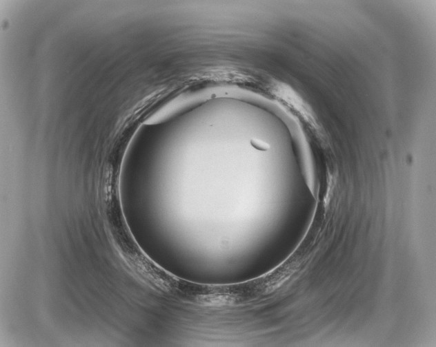 X0000087420356200704201431