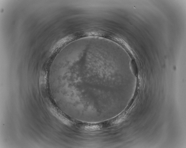 X0000087420357200704201431