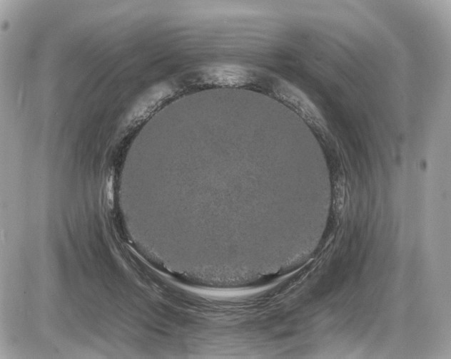 X0000087420358200704201431