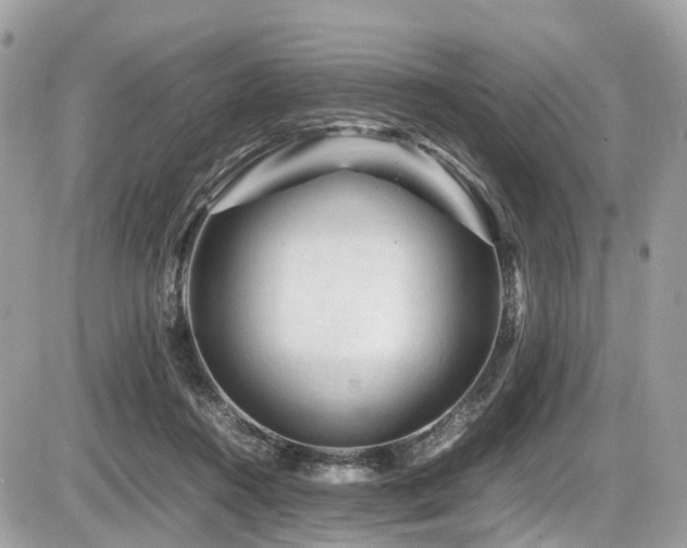 X0000087420360200704201431