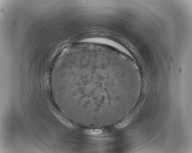 X0000087420361200704201431