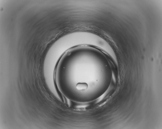 X0000087420362200704201431