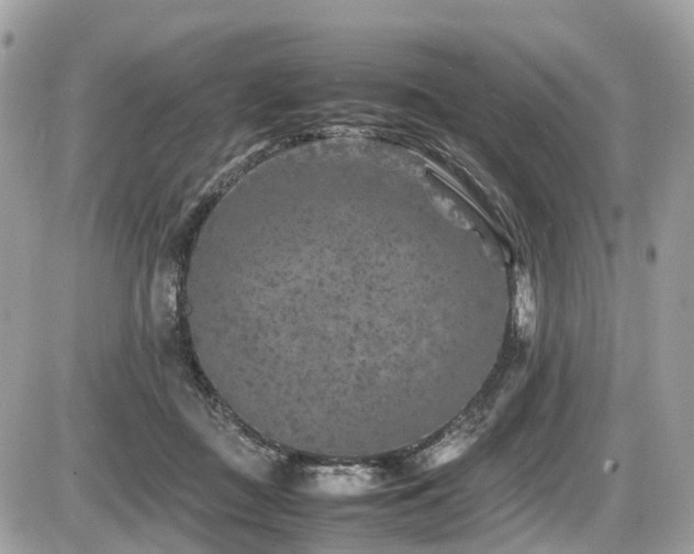 X0000087420363200704201432