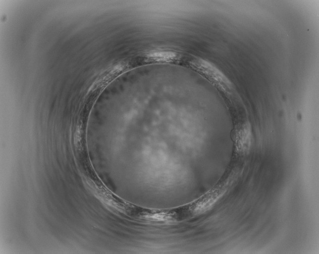 X0000087420365200704201432