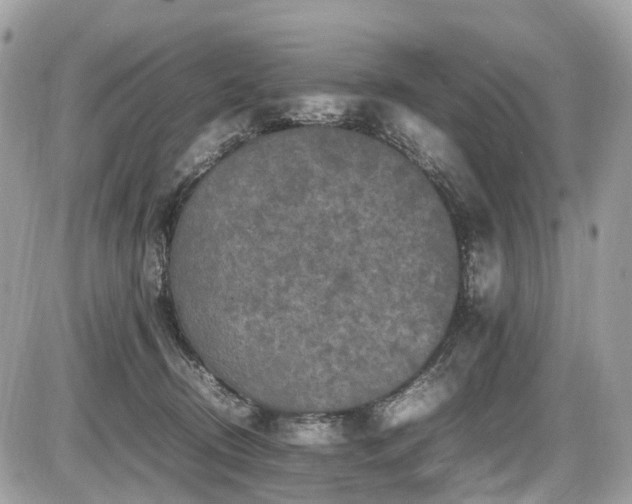 X0000087420370200704201432