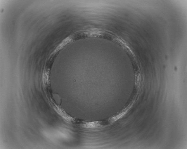 X0000087420382200704201432