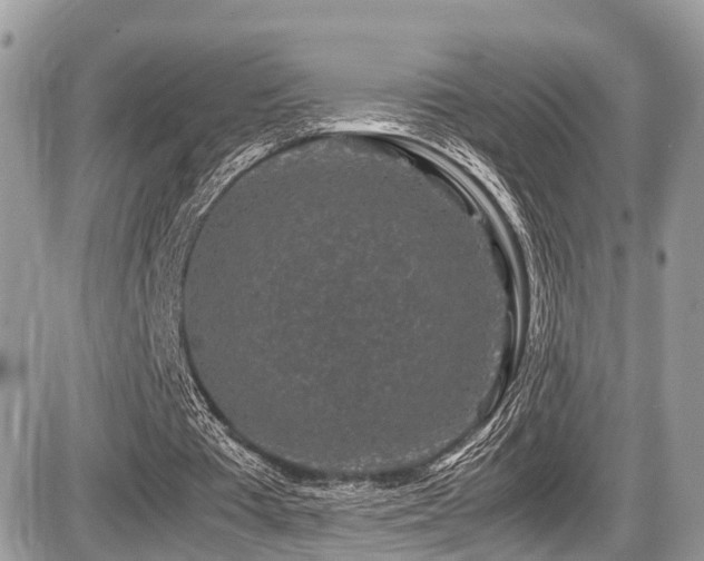 X0000087420385200704201431