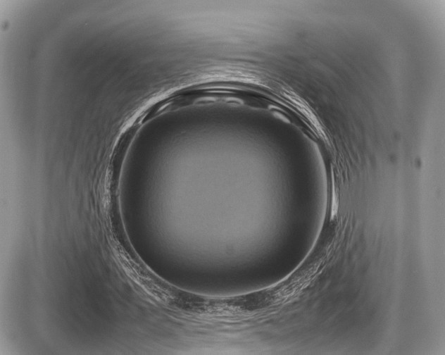 X0000087420387200704201431