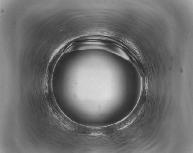 X0000087420388200704201431