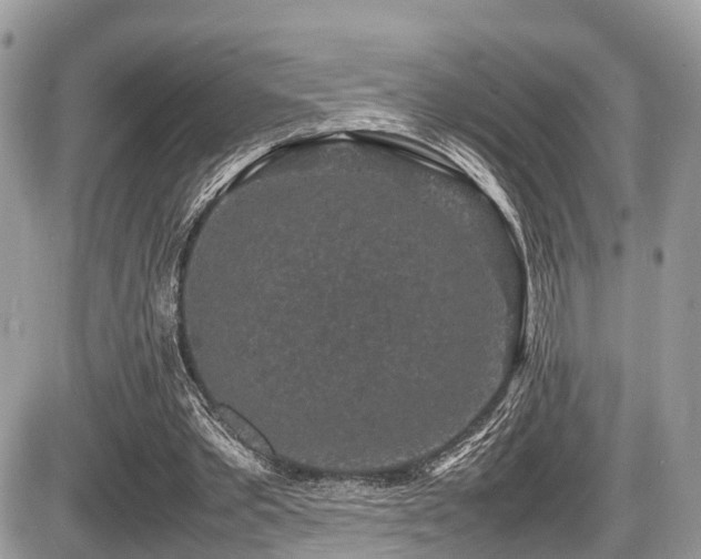 X0000087420389200704201431