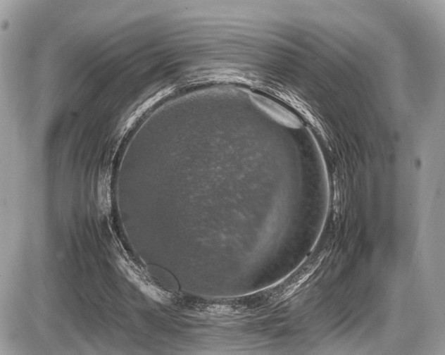 X0000087420390200704201431