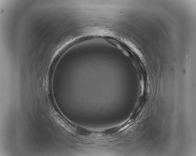 X0000087420391200704201431