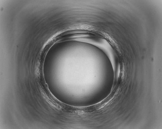 X0000087420392200704201431