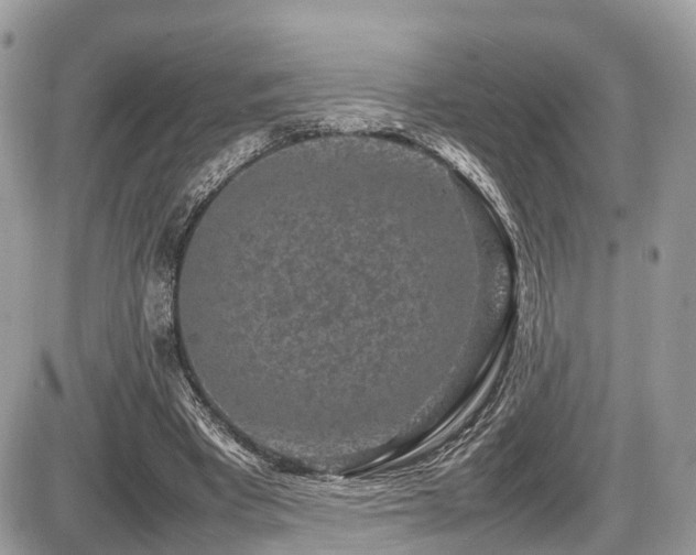 X0000087420393200704201431