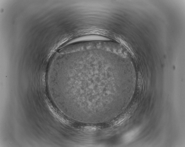 X0000087420394200704201431