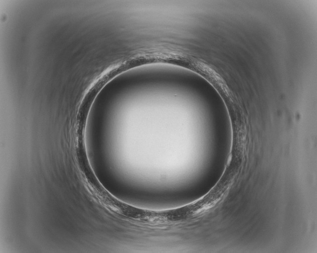 X0000087420395200704201431