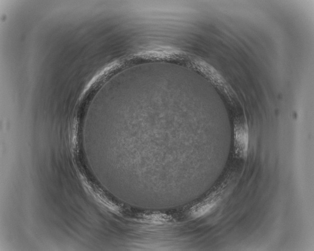 X0000087420396200704201431