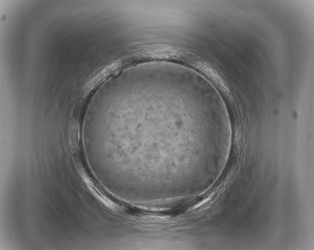 X0000087420397200704201431