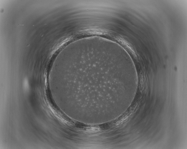 X0000087420398200704201431