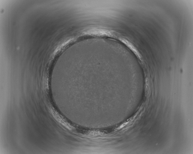 X0000087420399200704201431