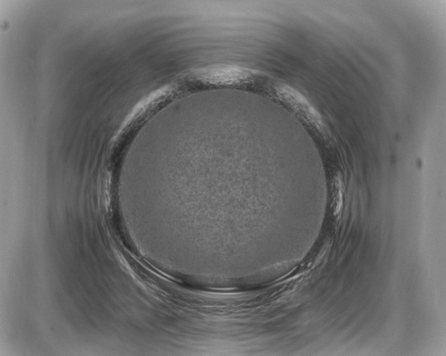 X0000087420400200704201431