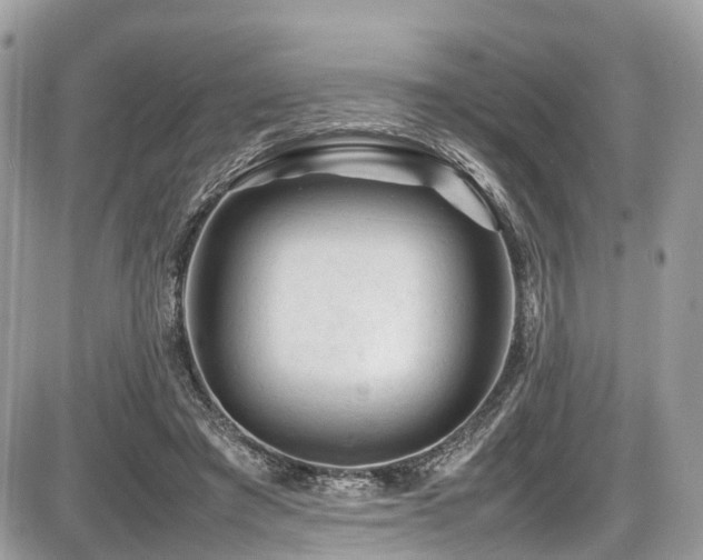 X0000087420401200704201431