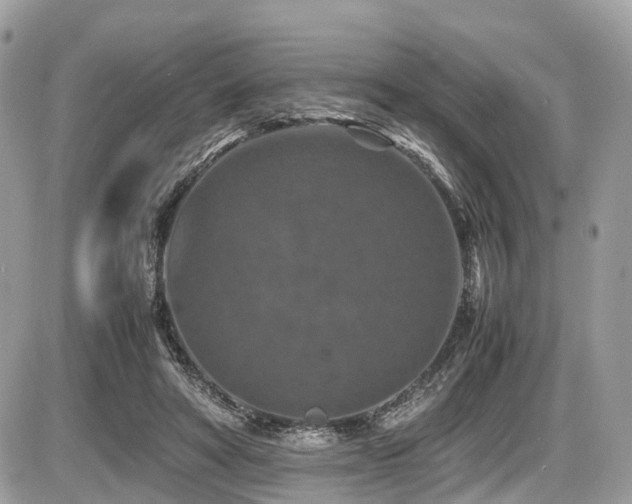 X0000087420402200704201431