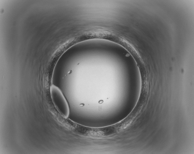 X0000087420403200704201431