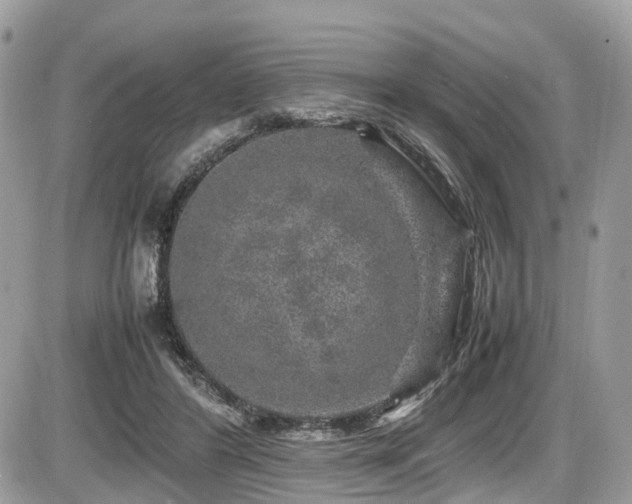 X0000087420404200704201431