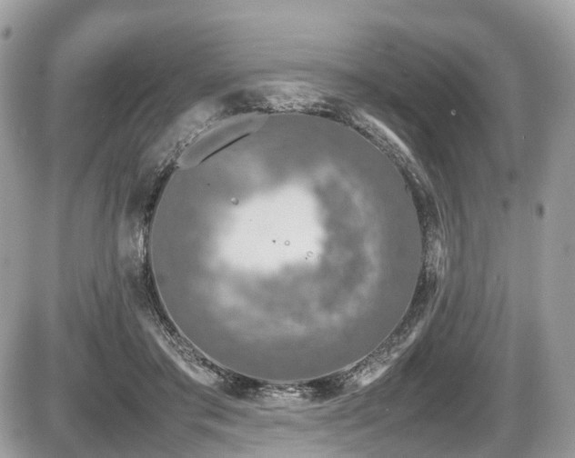 X0000087420405200704201431