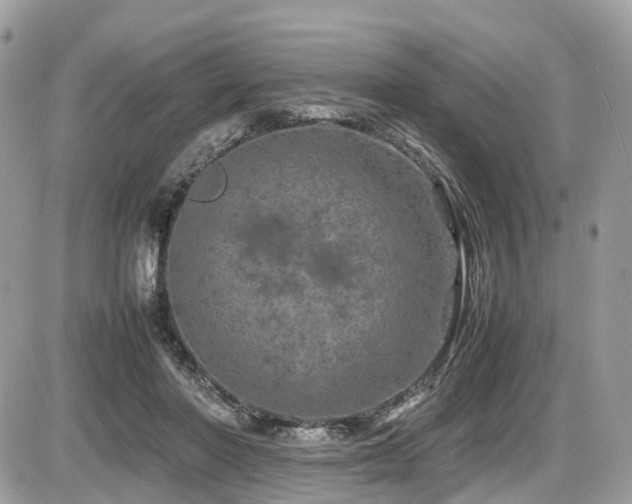 X0000087420406200704201431