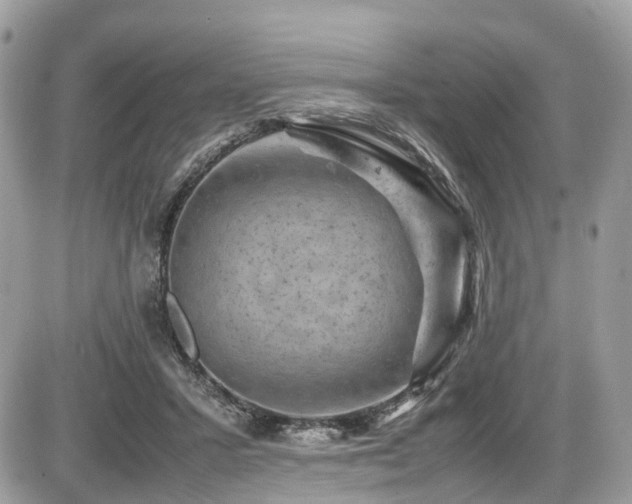 X0000087420407200704201431