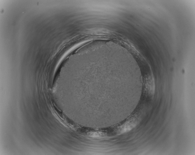 X0000087420408200704201431