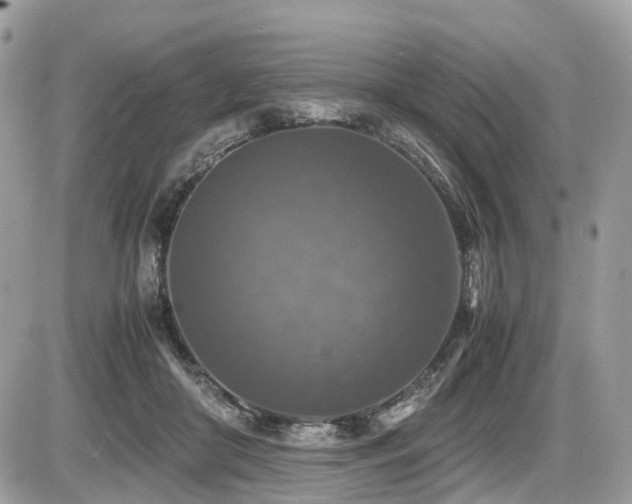 X0000087420410200704201431