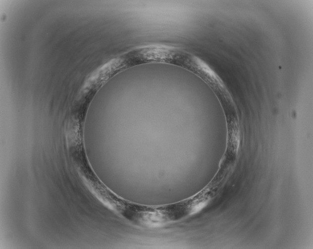 X0000087420411200704201431