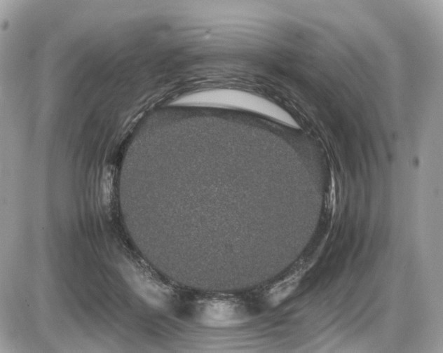 X0000087420412200704201431