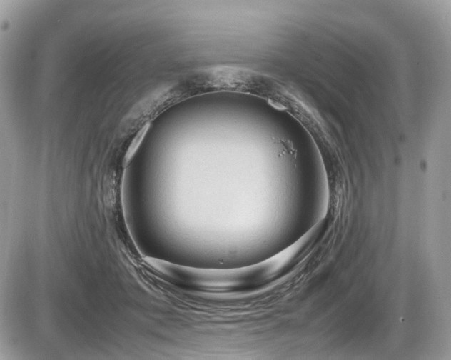 X0000087420413200704201431