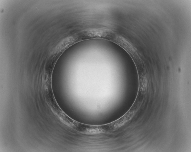 X0000087420414200704201431