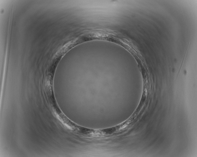 X0000087420415200704201431